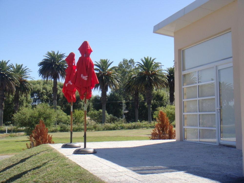 Camino De Palmeras Hotel Colonia del Sacramento Eksteriør billede